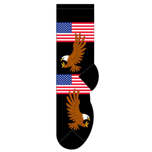 American Flag & Eagle