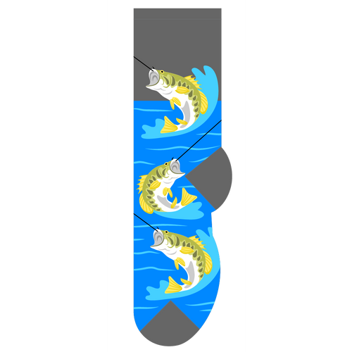 Bass Fishing