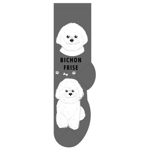 Bichon Fris