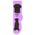 Black Lab