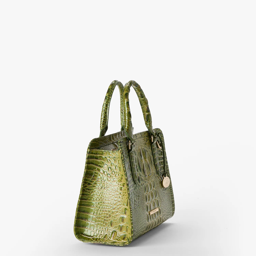 Brahmin Melbourne Collection Cami Satchel, Olive Ombre