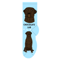 Chocolate Lab