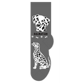Dalmatian