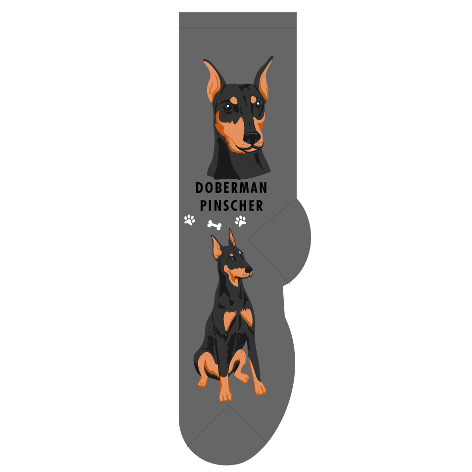 Doberman Pinscher