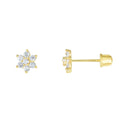 Flower CZ Earrings