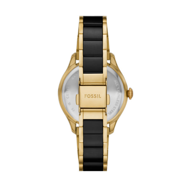 Fossil - Gilmore
