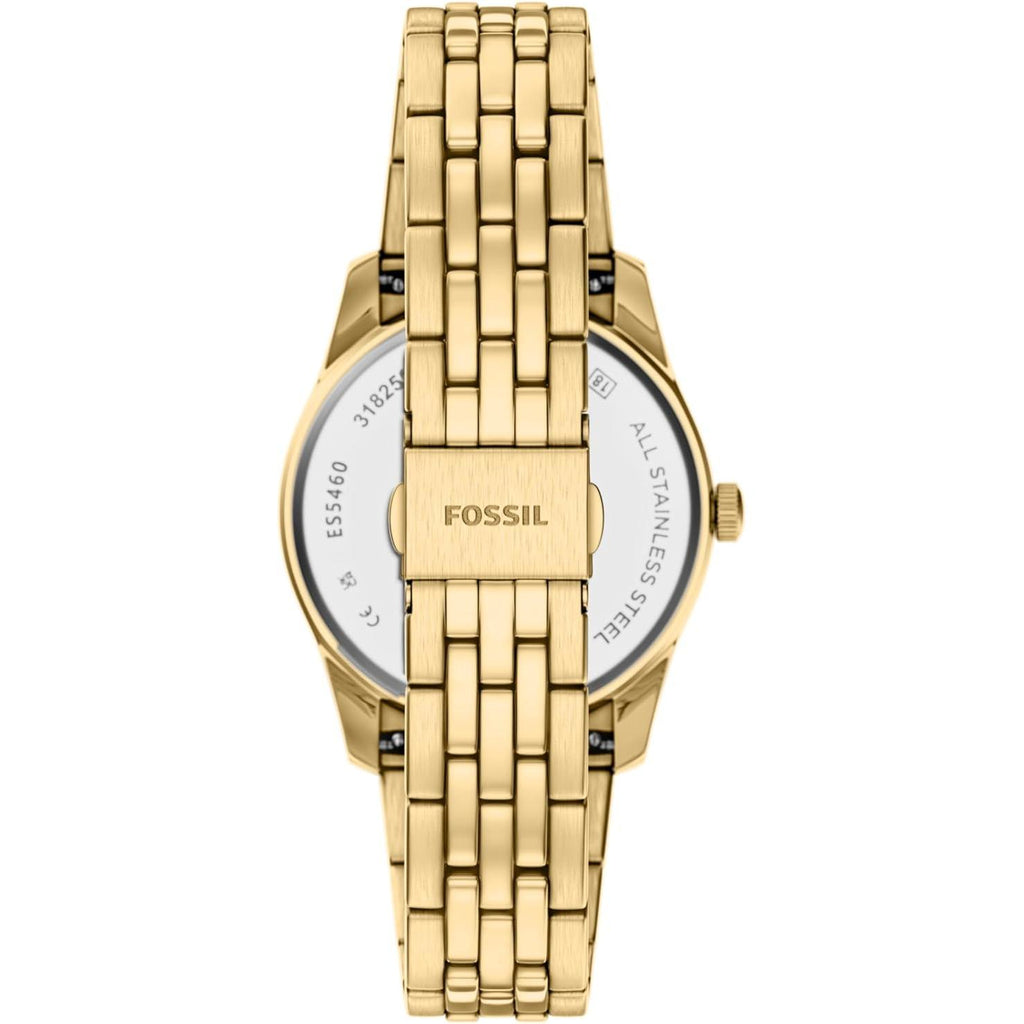 Fossil - Scarlette