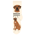 Rhodesian Ridgeback
