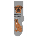 Rhodesian Ridgeback