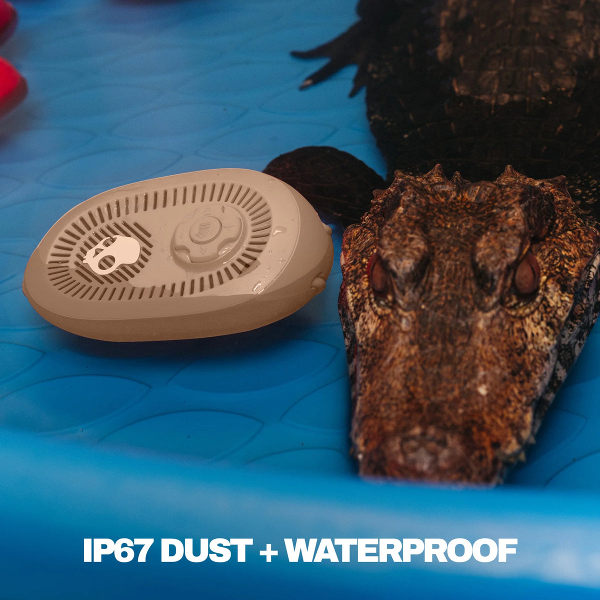 Skullcandy Session 540 Wireless Speaker, Primer